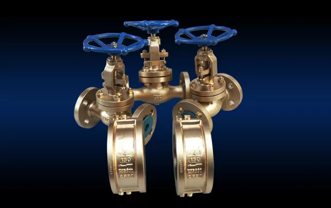 bronze valve